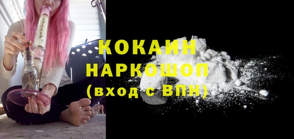 сатива Михайловка