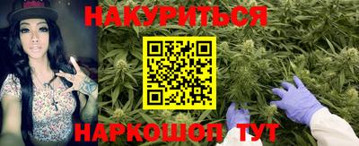 прущие грибы Рыбинск