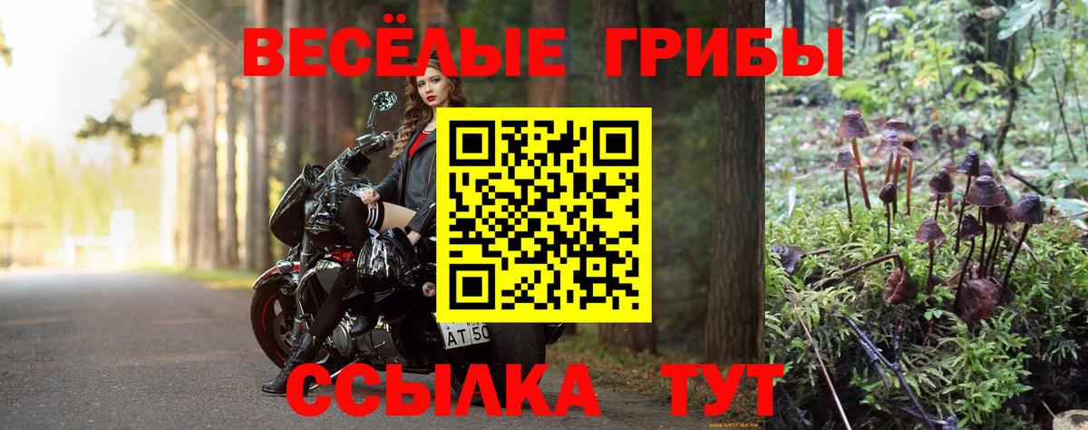 Галлюциногенные грибы GOLDEN TEACHER Южноуральск